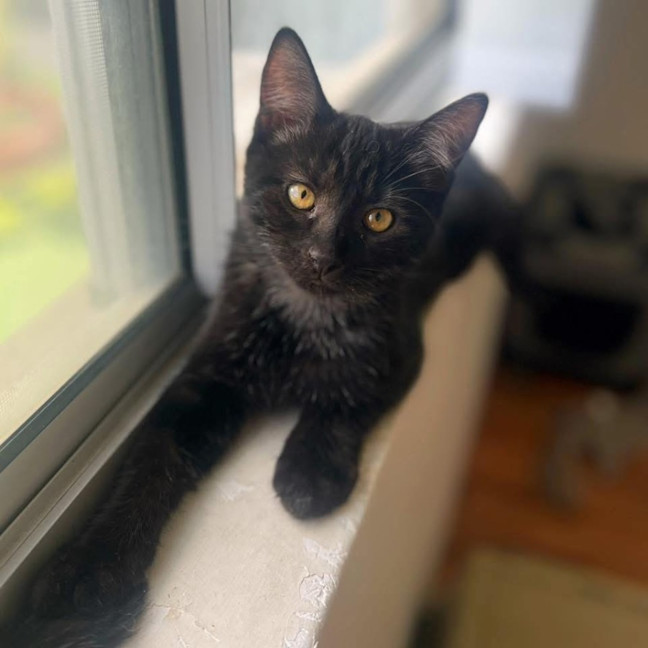 Photo of 12073   Myst