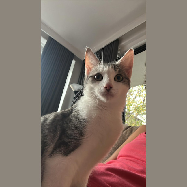 Photo of Annie