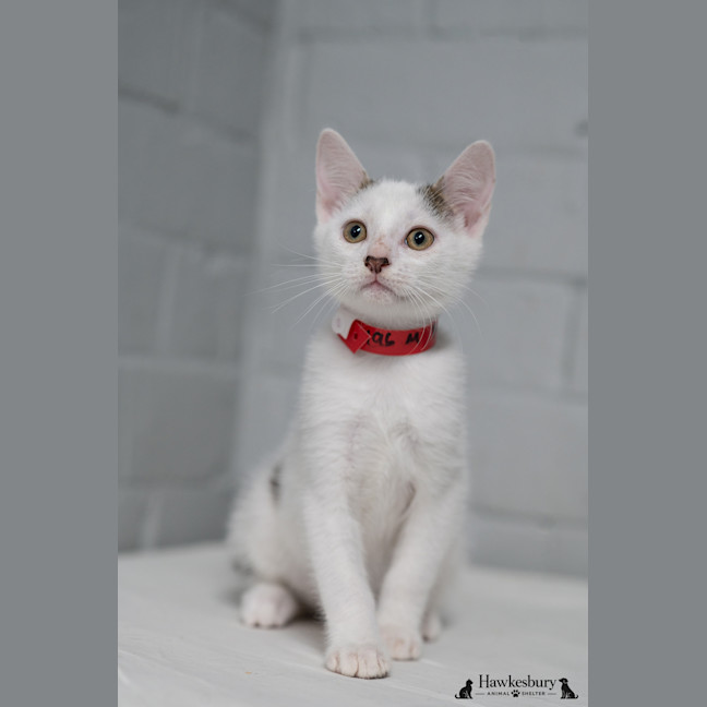 Photo of Fred