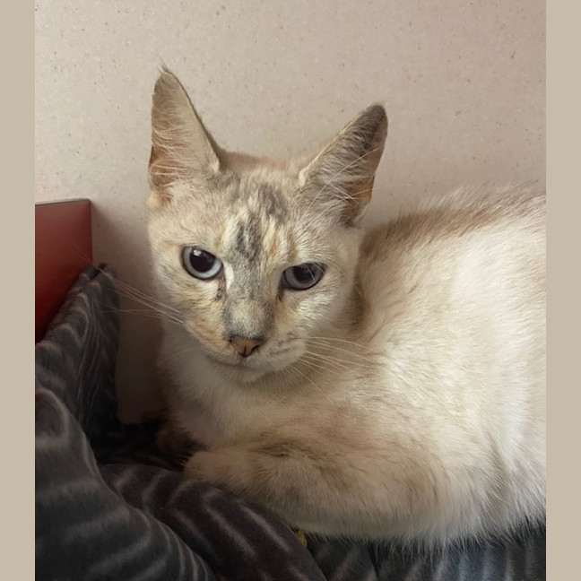 Photo of Evie