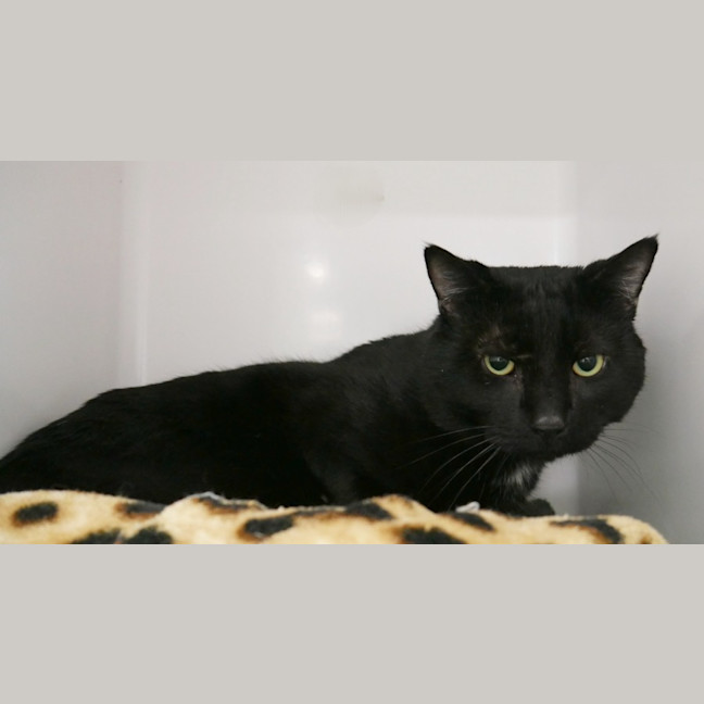 Photo of Ralph Sta015523