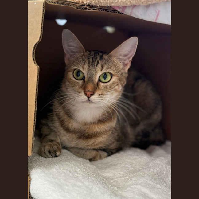 Photo of Bella