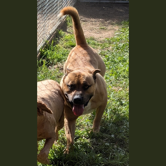 Photo of Jimmy Neutron