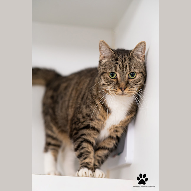 Photo of Tiggy