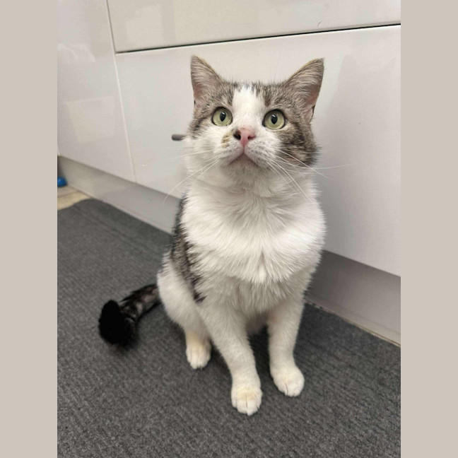 Photo of Mr Worldwide