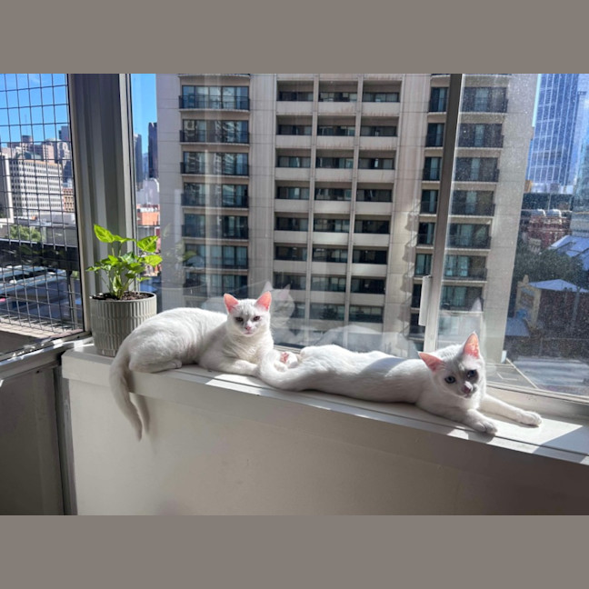 Photo of Parsnip & Yam