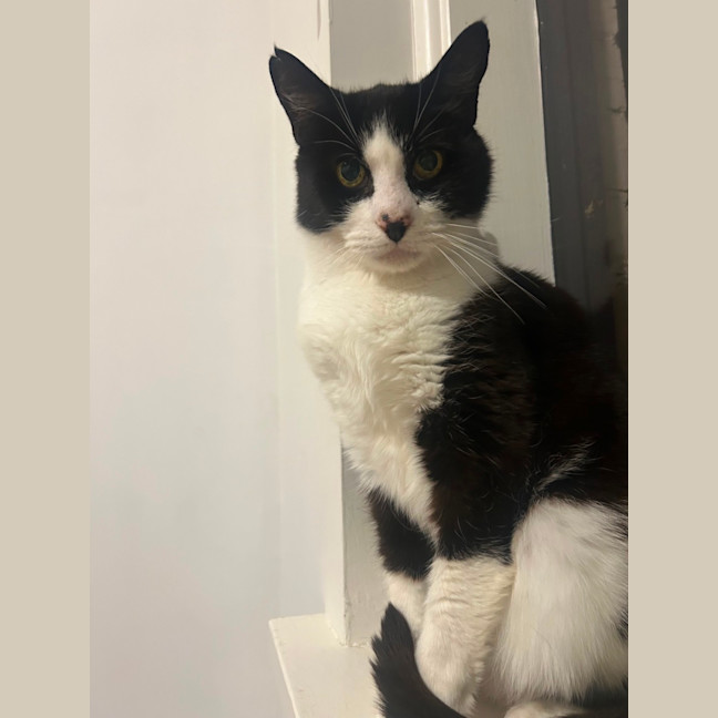 Photo of Raymond ❤️