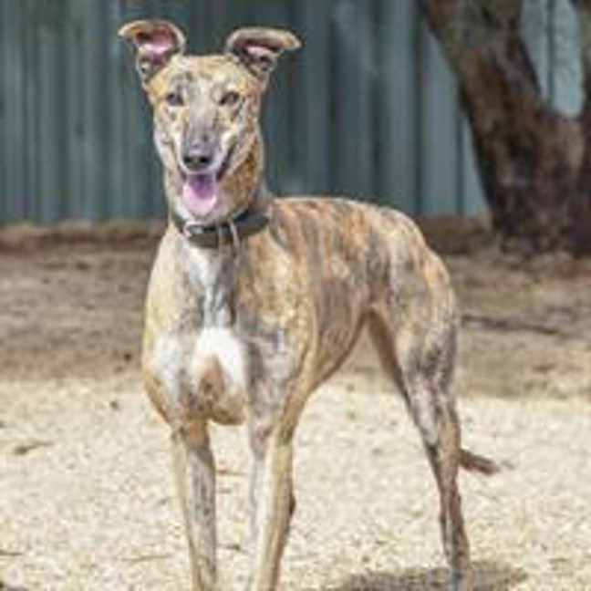 Photo of Zara