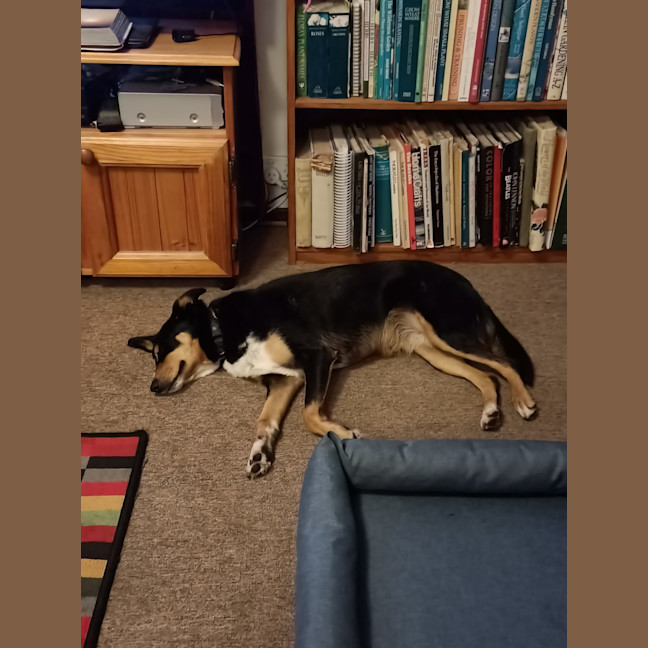Photo of Molly