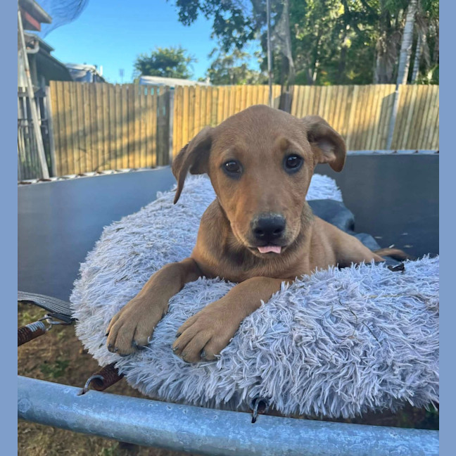 Photo of Winny (P21)