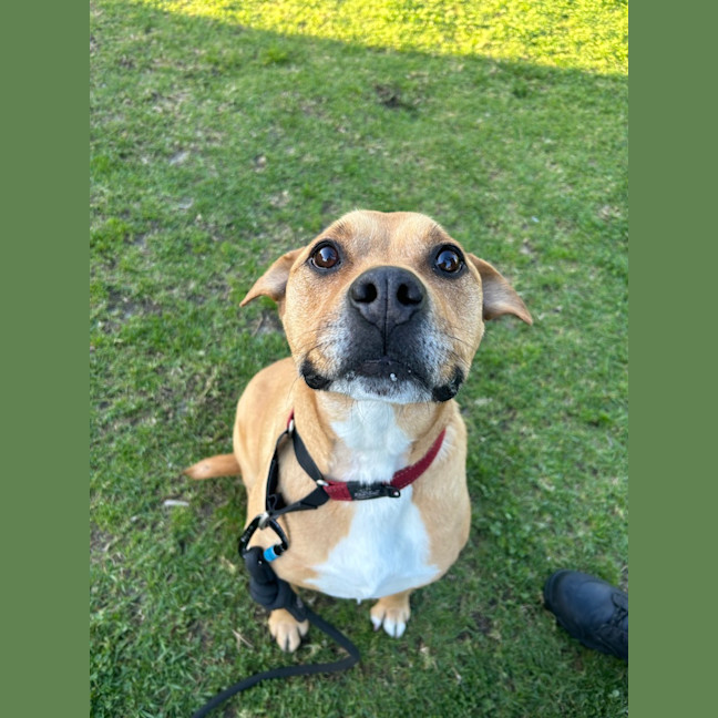 Photo of Zoe