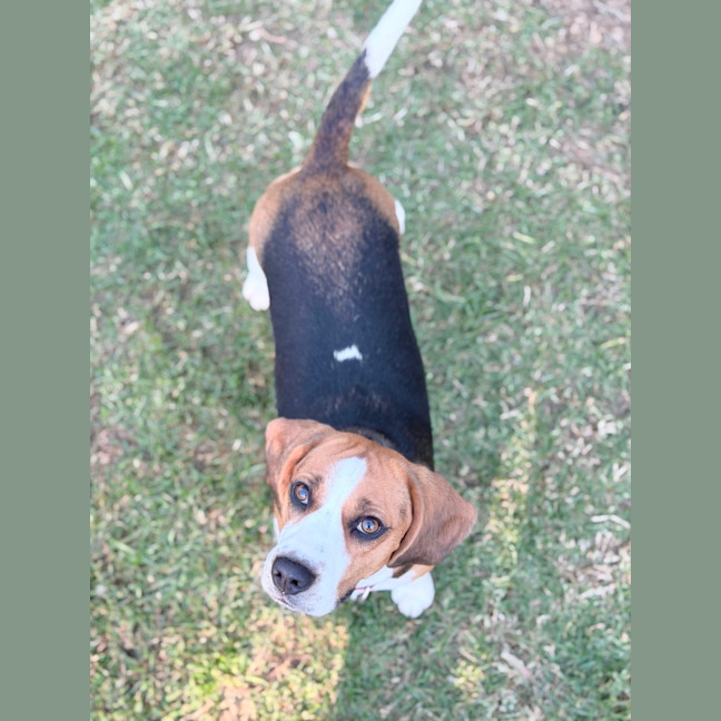 Photo of Kiki