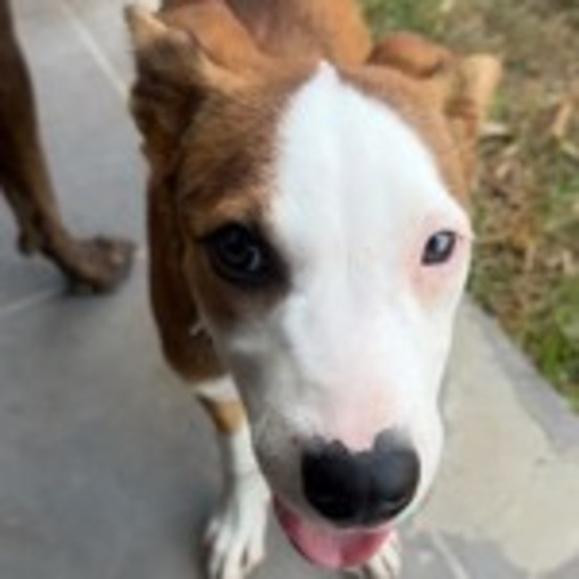 Photo of Turbo