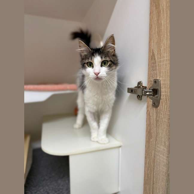 Photo of 🕶️ Ruth 6779 🕶️