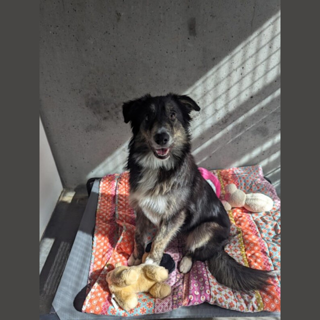 Photo of Inka