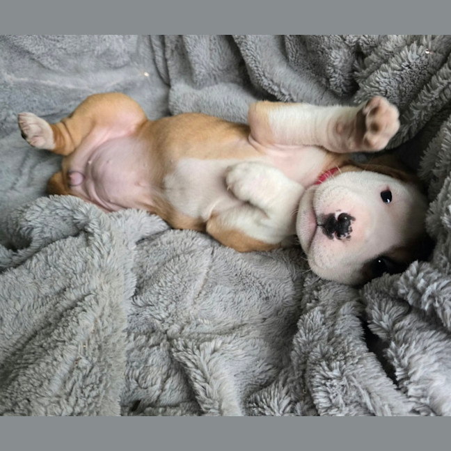 Photo of Tova 