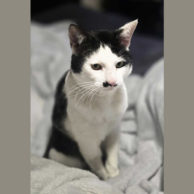 Photo of Frank