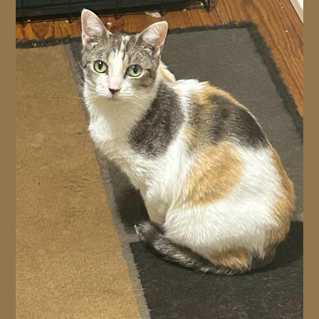 Photo of Vera