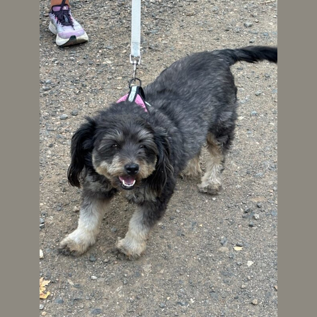 Photo of Nellie