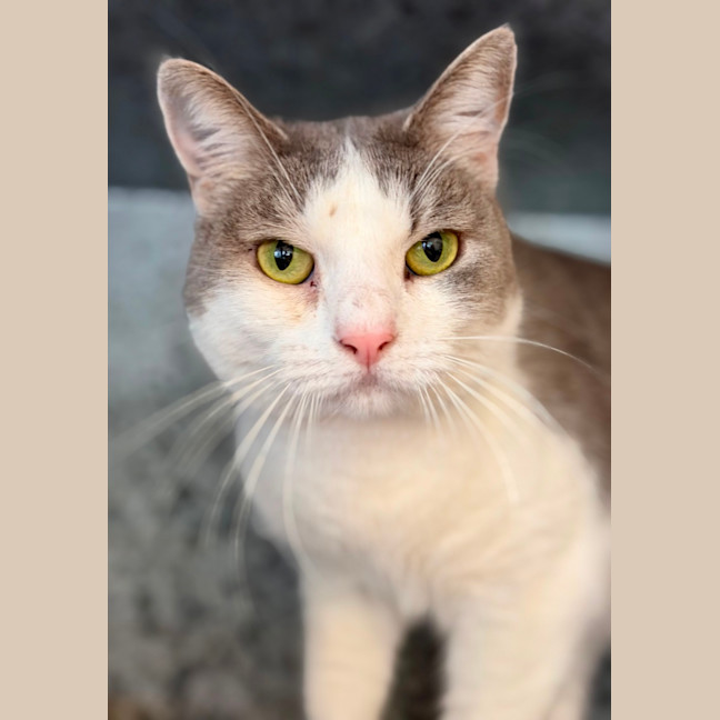 Photo of Lilly