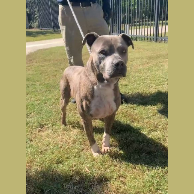 Photo of Kevin (Trevor)