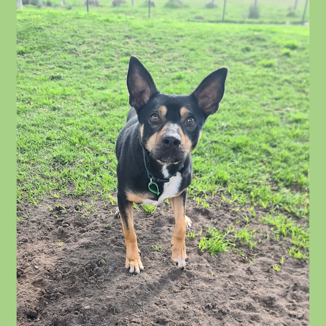 Photo of Cassie