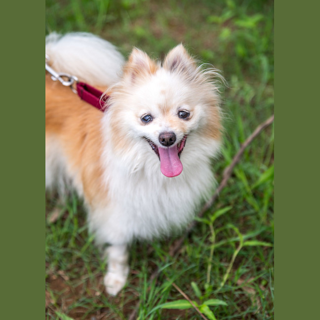 Photo of Bellatrix