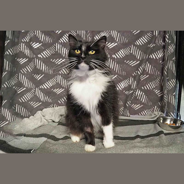 Photo of Coco