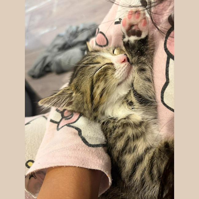 Photo of Bella / Issi