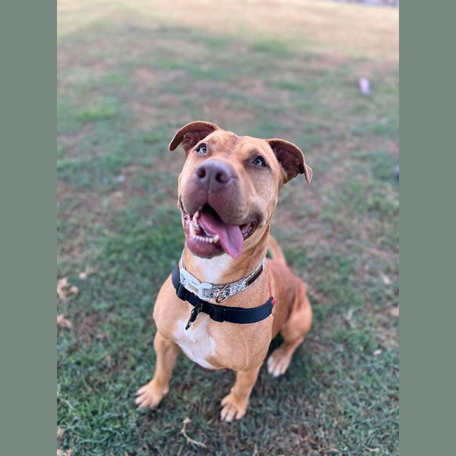 Photo of Rizzo