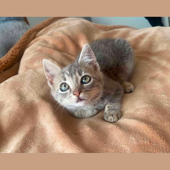 Photo of Tilly