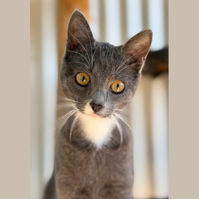 Photo of Nora