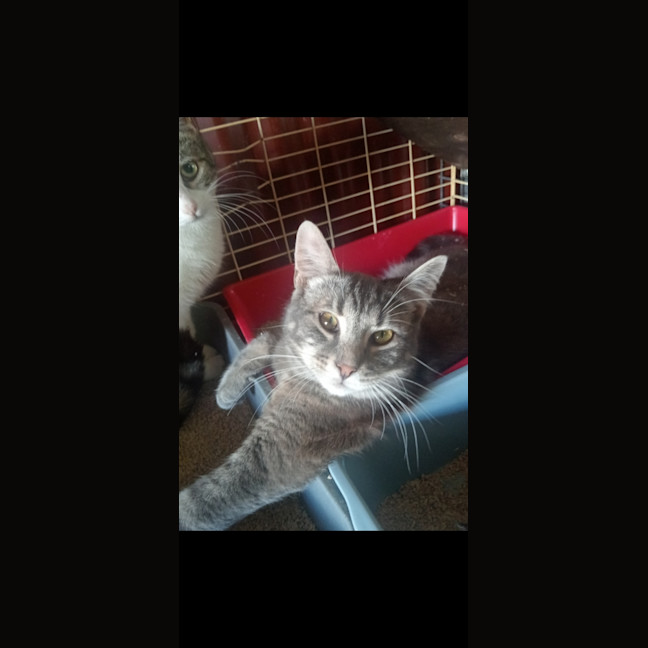 Photo of Aero And Spyro