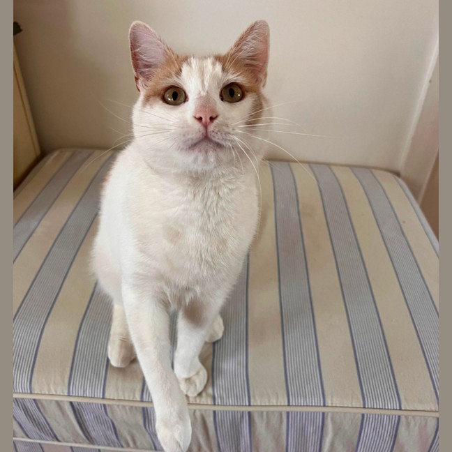 Photo of Rudolf 