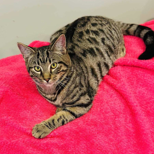 Photo of 12202   Barry