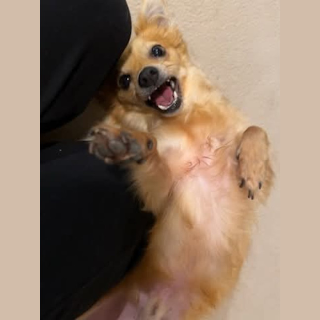Photo of Buster