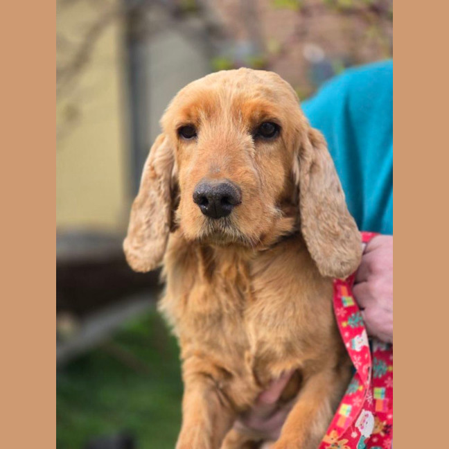 Photo of Mississippi