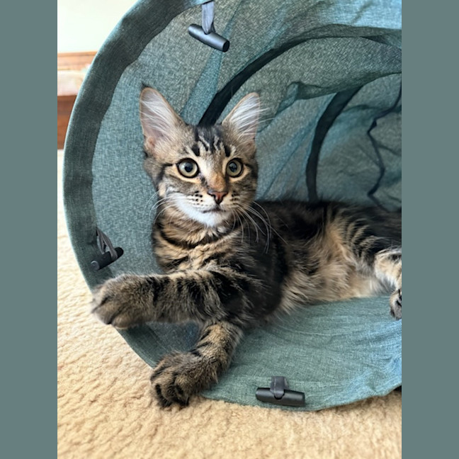 Photo of Eve & Coalette