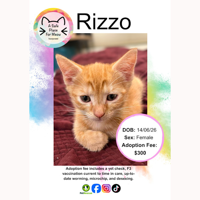 Photo of Rizzo