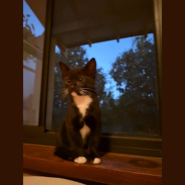 Photo of Twilight