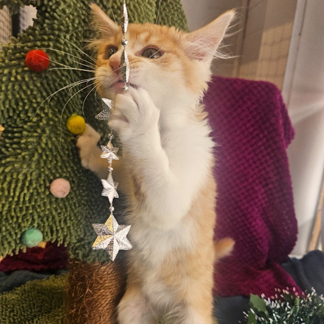 Photo of Rupert