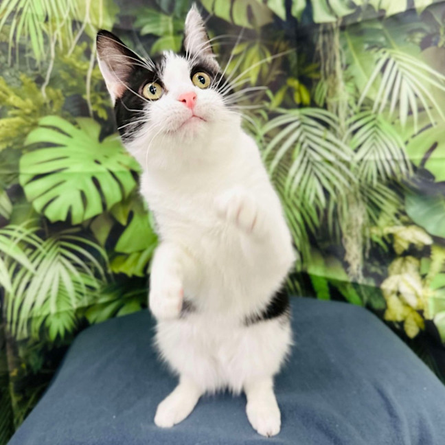 Photo of Asha   Located In Preston