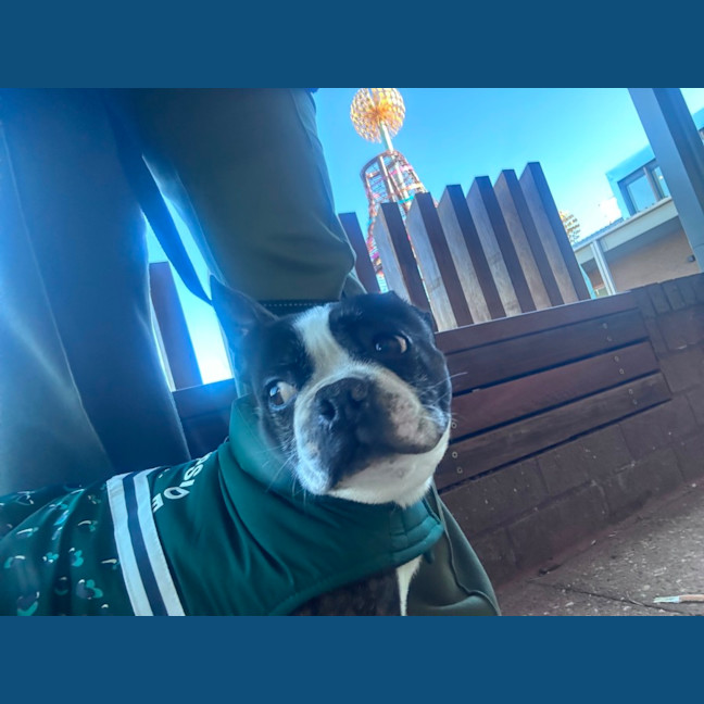 Photo of Timmy