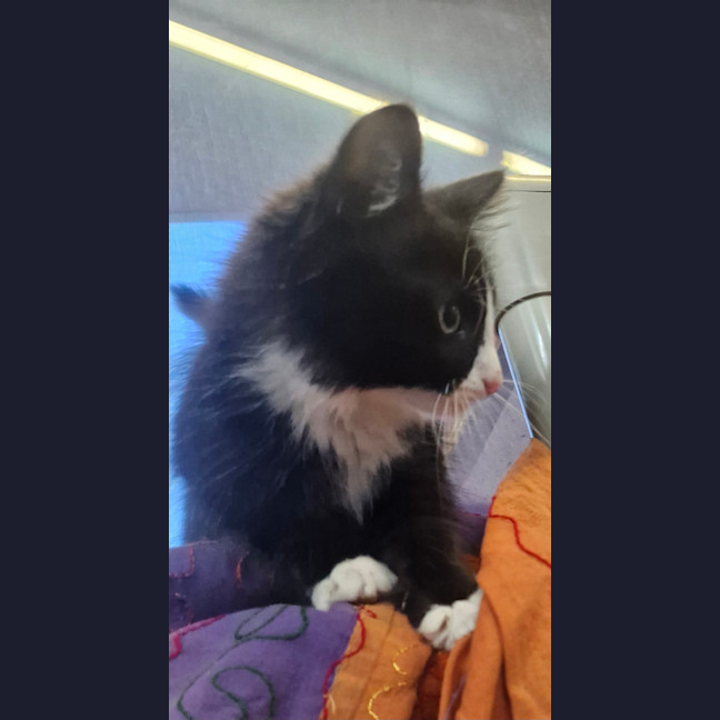 Photo of New Approach