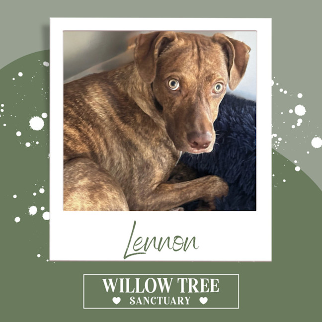 Photo of Lennon