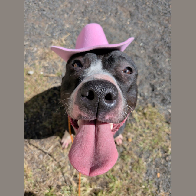 Photo of Lottle