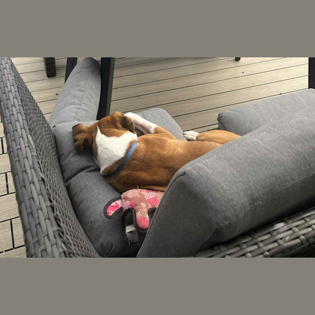 Photo of Russell Coight