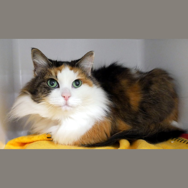 Photo of Pippi Rsua009186