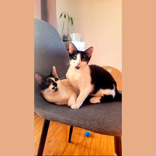 Photo of Manny And Munro