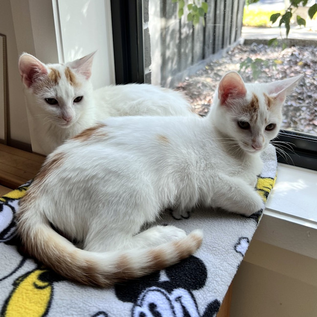 Photo of Neve & Cloud